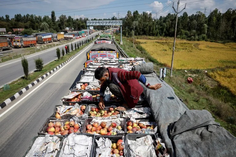 हाइवे बंदी की मार: कश्मीर के सेब उत्पादकों की आमदनी 40% तक गिरी